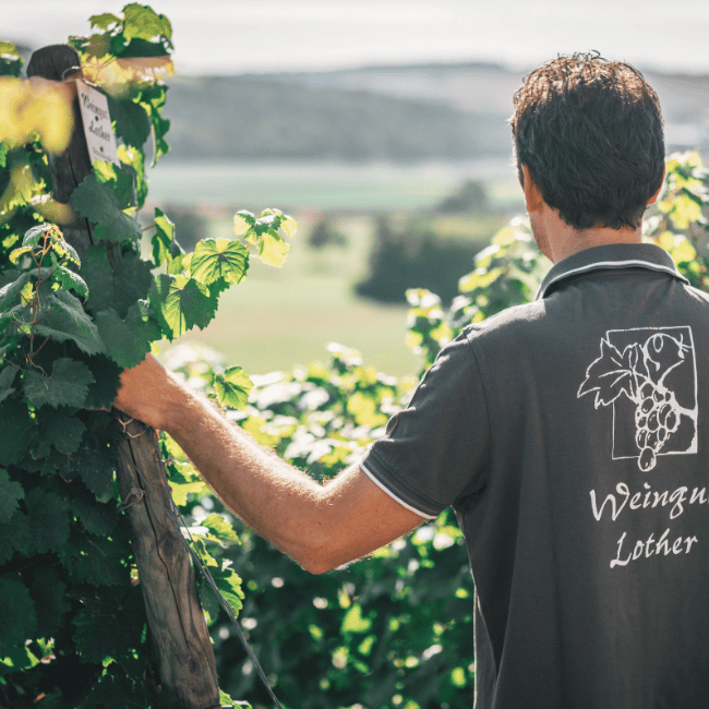 Weingut Lother, Sebastian Lother im Weinberg